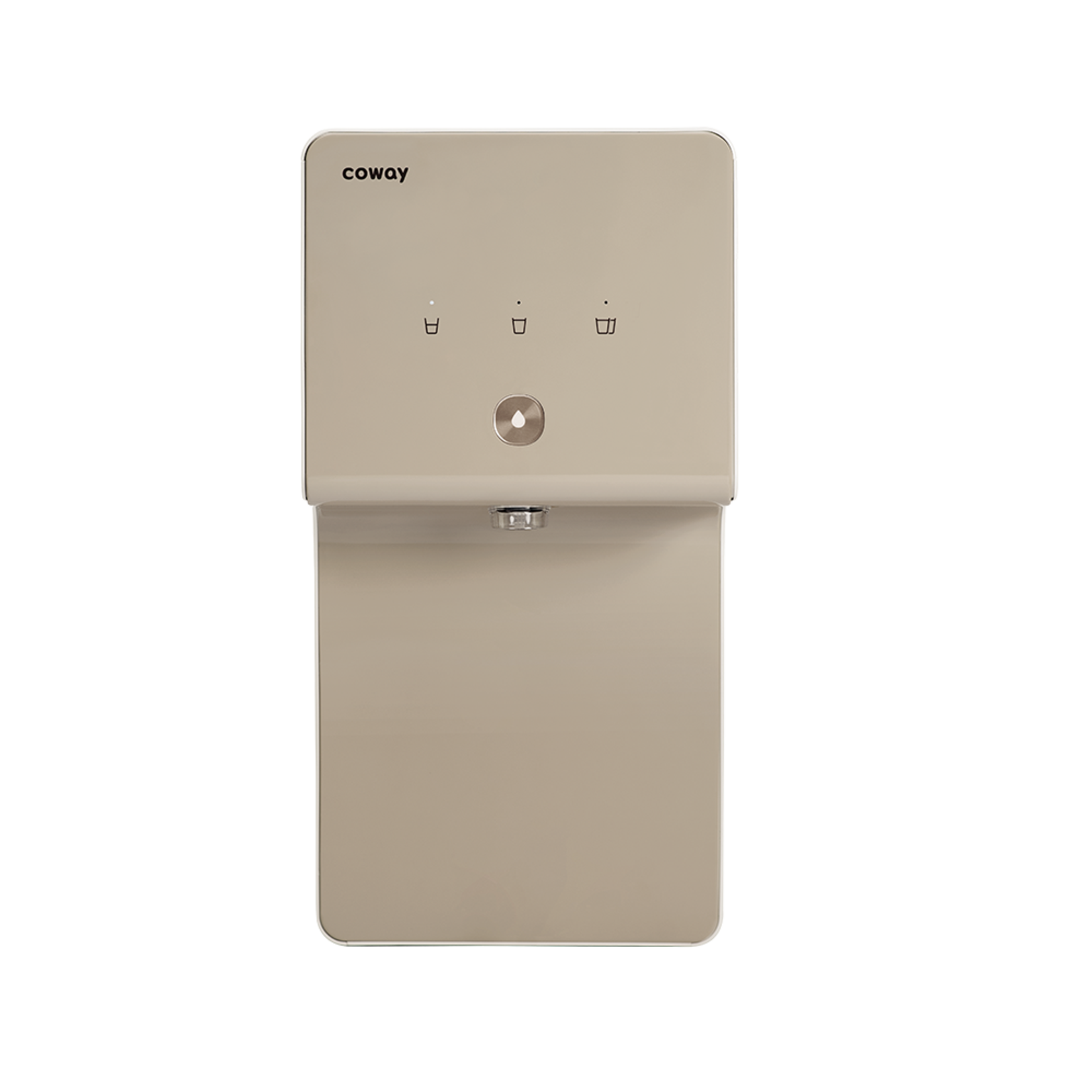 Coway Cinnamon 1
